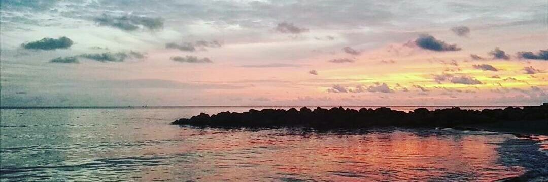 HernandezPaula_'s profile banner image