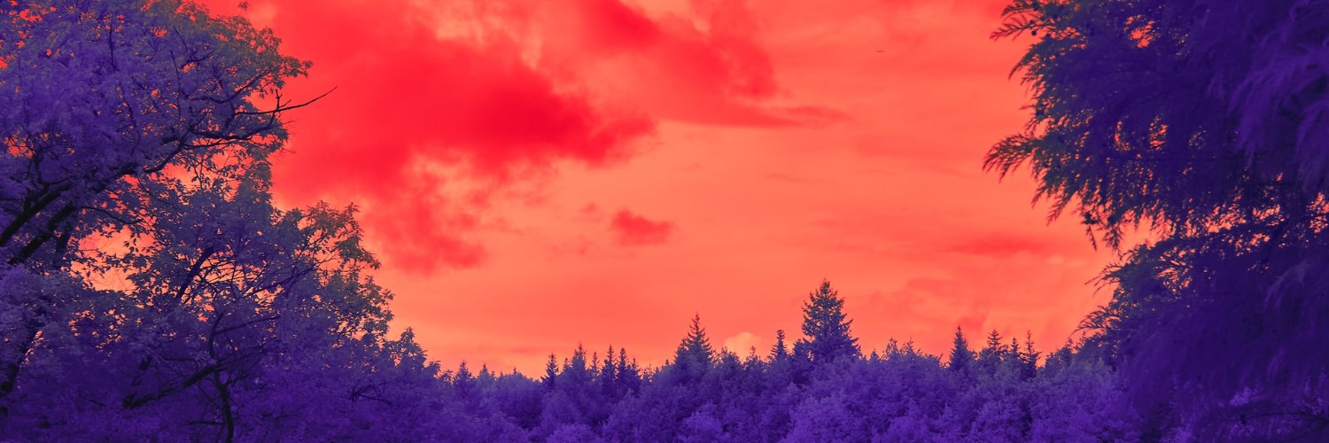 YoSoyRipper's profile banner image