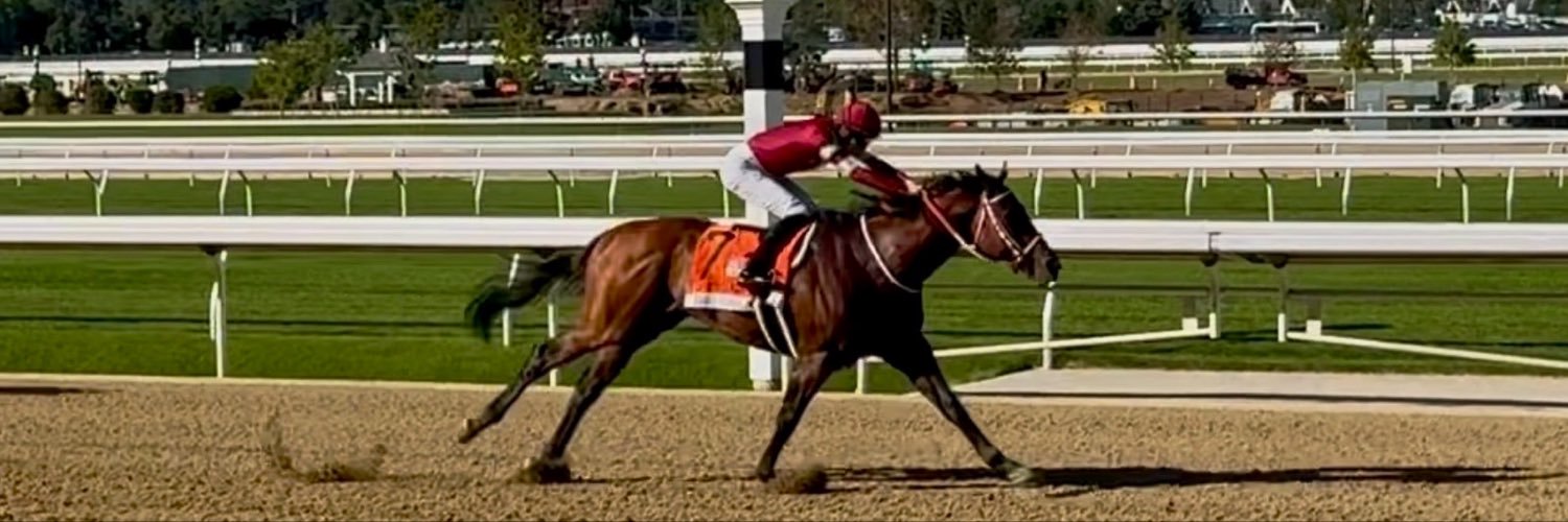 HorseToWatch's profile banner image