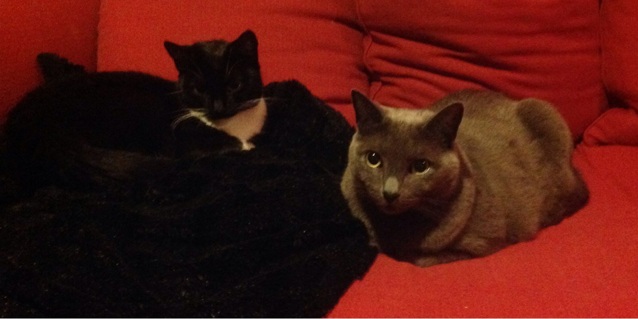 Queen Kunt queenkunt.bsky.social banner