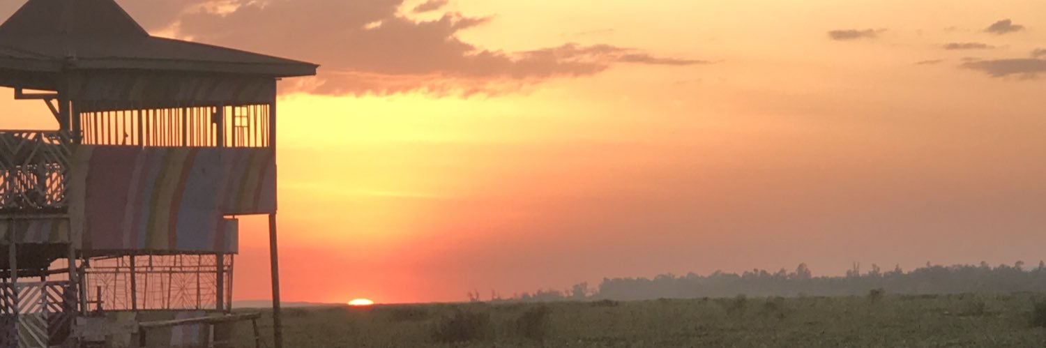 Roddy_ke's profile banner image