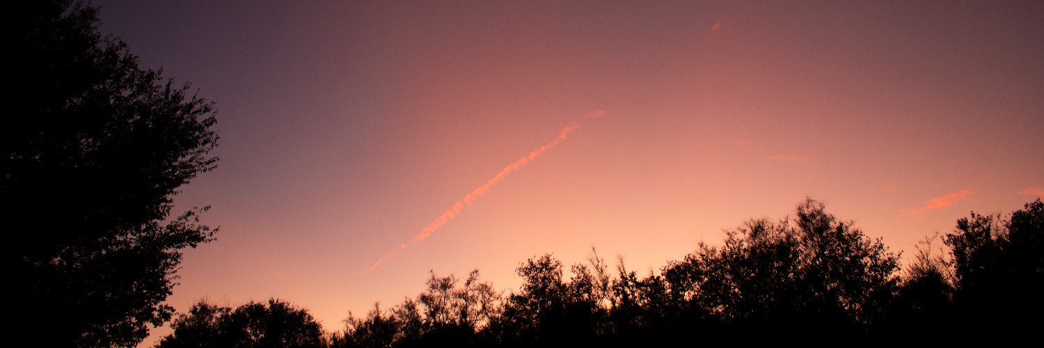 frankjunkim's profile banner image