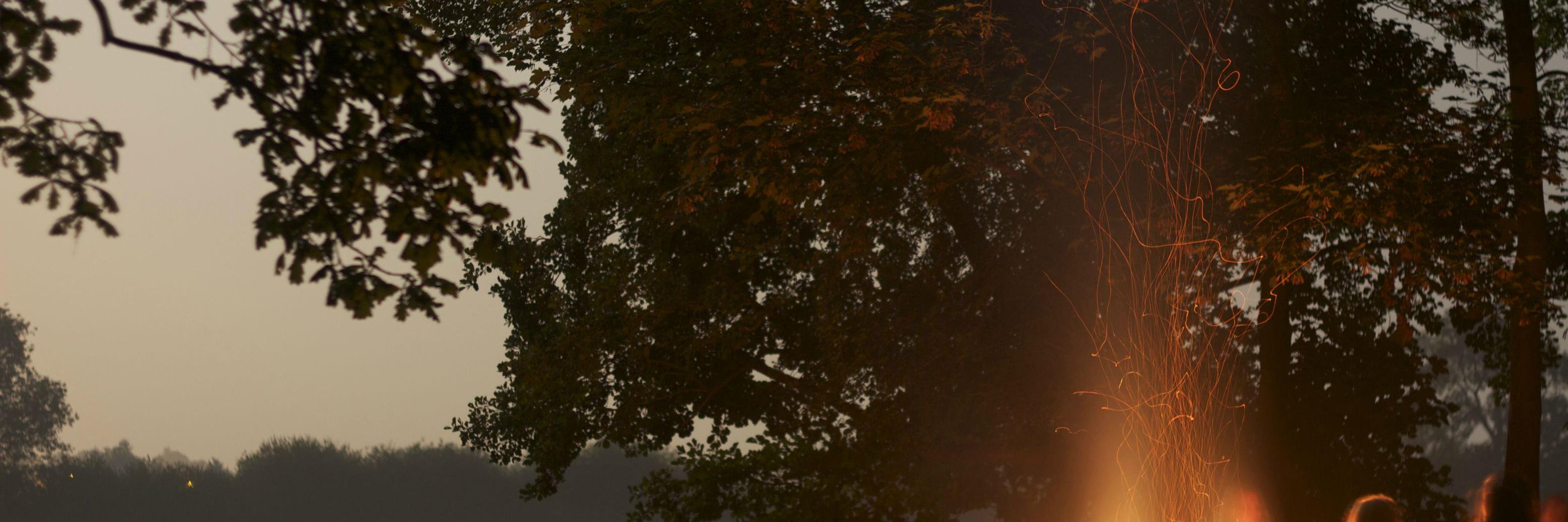nevashedelo_1's profile banner image