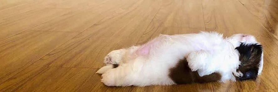 Aunnorr's profile banner image