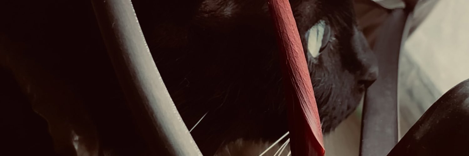 HarleyWells's profile banner image