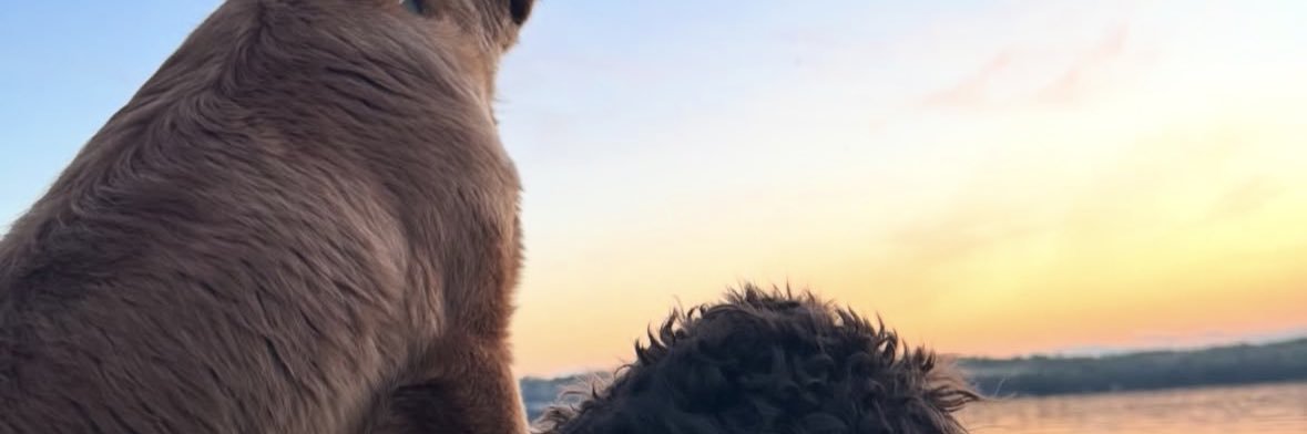 LysandraWhatv's profile banner image