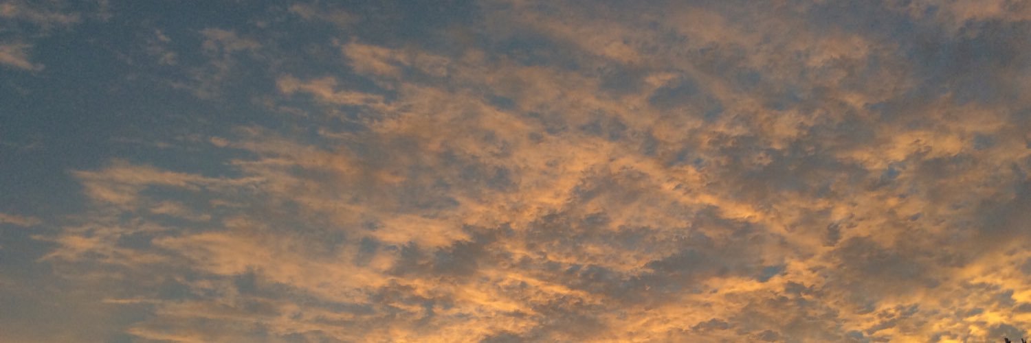 neicyTX's profile banner image
