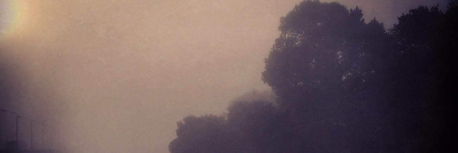 HeleneDerkert's profile banner image