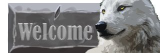 Niffshou's profile banner image