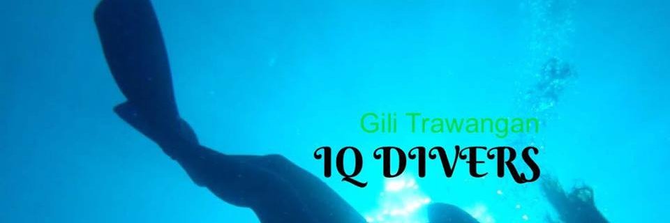 iqdiversgili's profile banner image