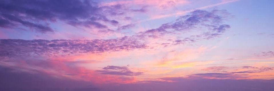 Ben 🌹 banner