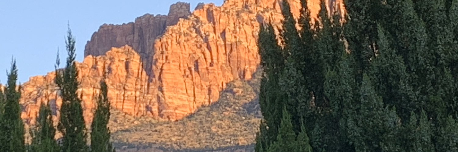 Patricia Cornell banner