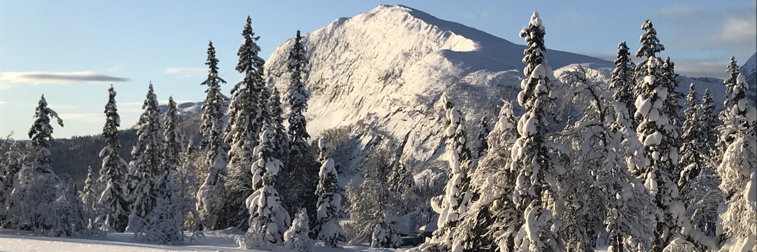 AndersPagander's profile banner image