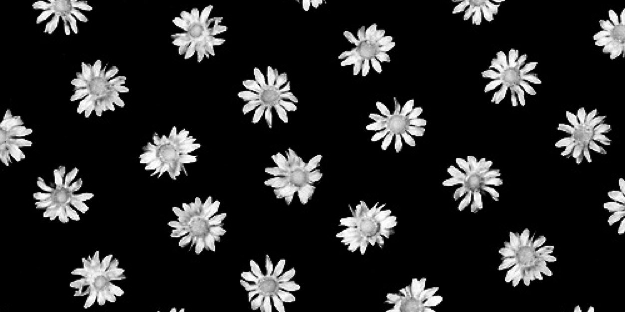ditamudarsi's profile banner image