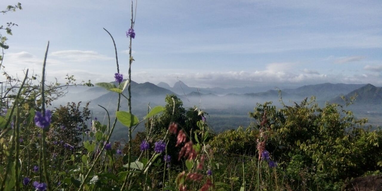 RohmiTriasih's profile banner image