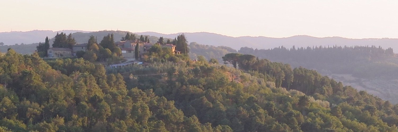 irelmar's profile banner image