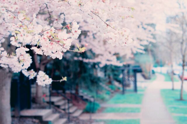 UmSaeedB's profile banner image
