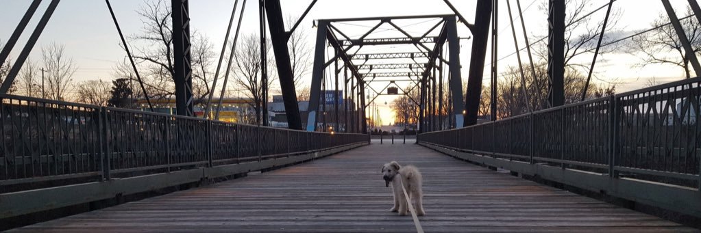 mollly112's profile banner image