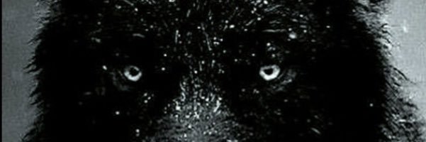 marodriguez4's profile banner image