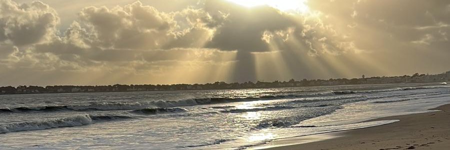 Katleen banner