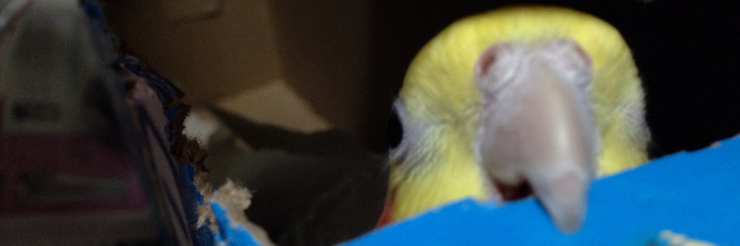 risowa_3's profile banner image