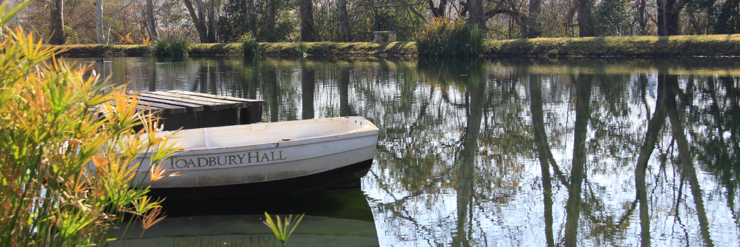 ToadburyHall's profile banner image