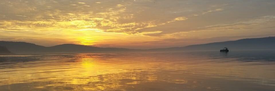 roundvalleyfish's profile banner image