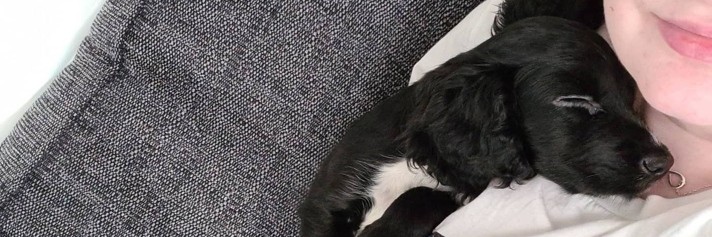 justfergs's profile banner image