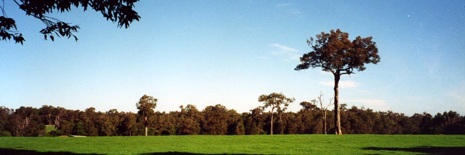 scbmanner's profile banner image
