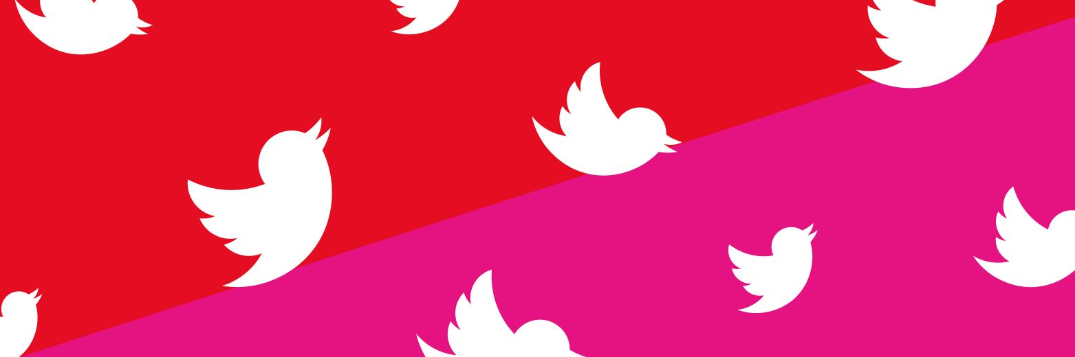 TishTash banner