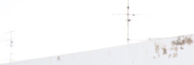 ZiiTagle's profile banner image