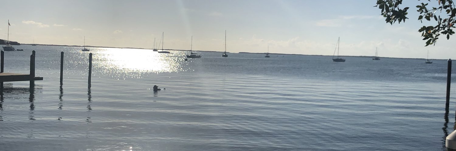 searisep's profile banner image
