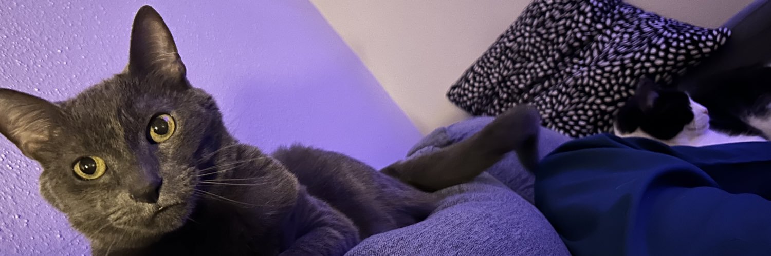 jasminejram's profile banner image