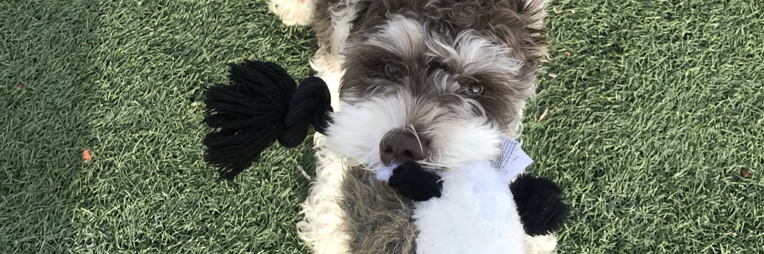 Joey_Kelly_'s profile banner image