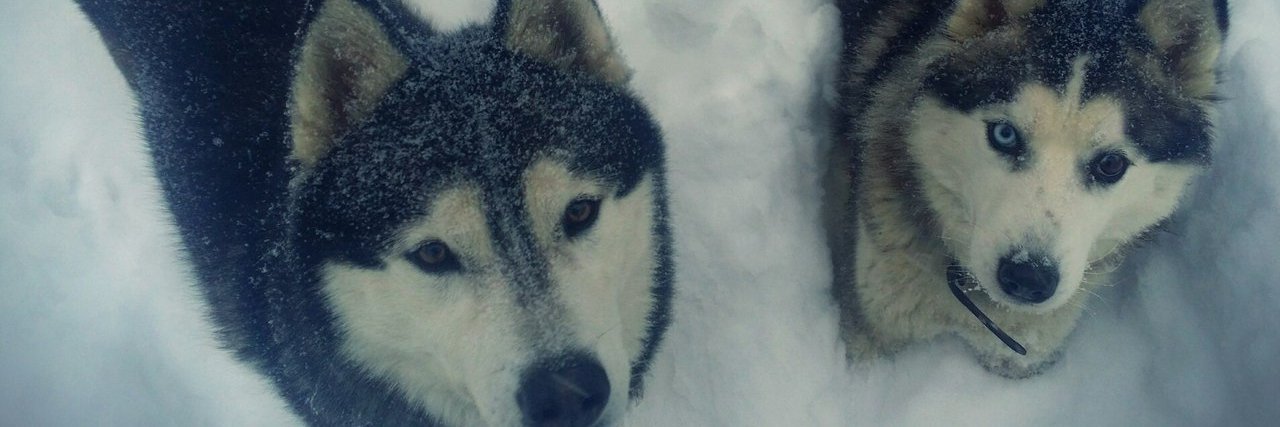 Бабушка Огонька🔥 и Звёздочки🌟 banner