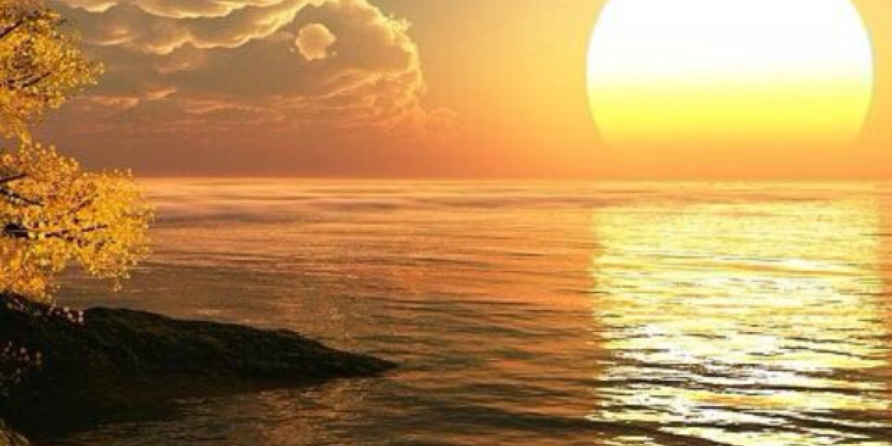 mn2222nm's profile banner image