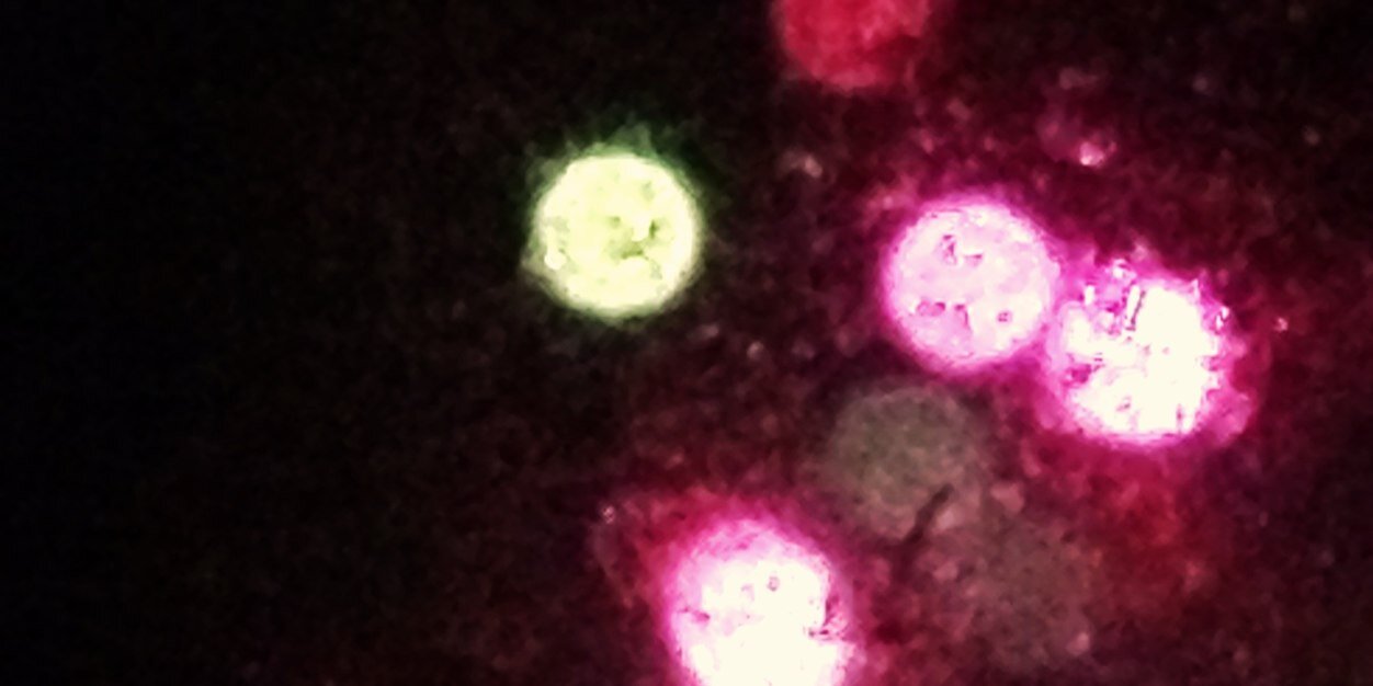 skylarossi's profile banner image