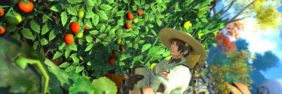 てっど🐕 banner