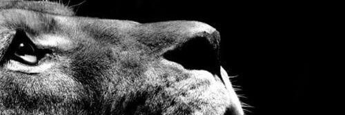 FDanielPM's profile banner image