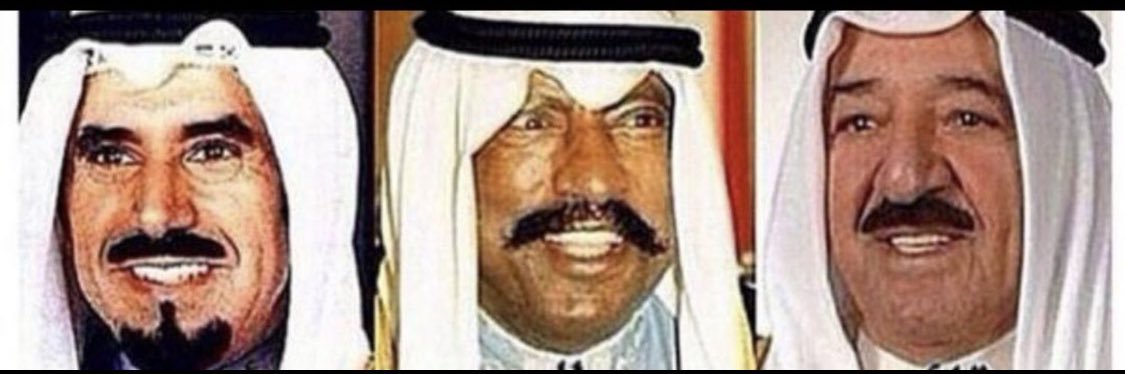 Nadia Alshmmary banner