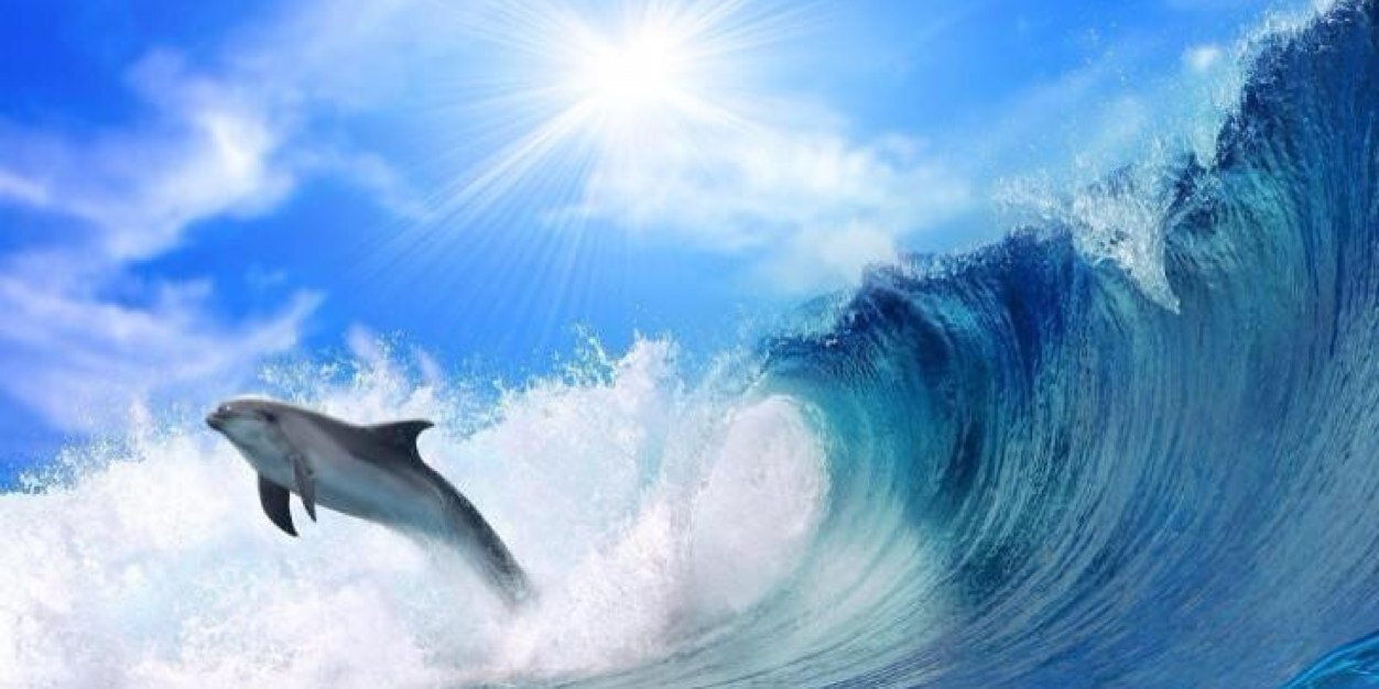 Doctor'sDancePartner banner