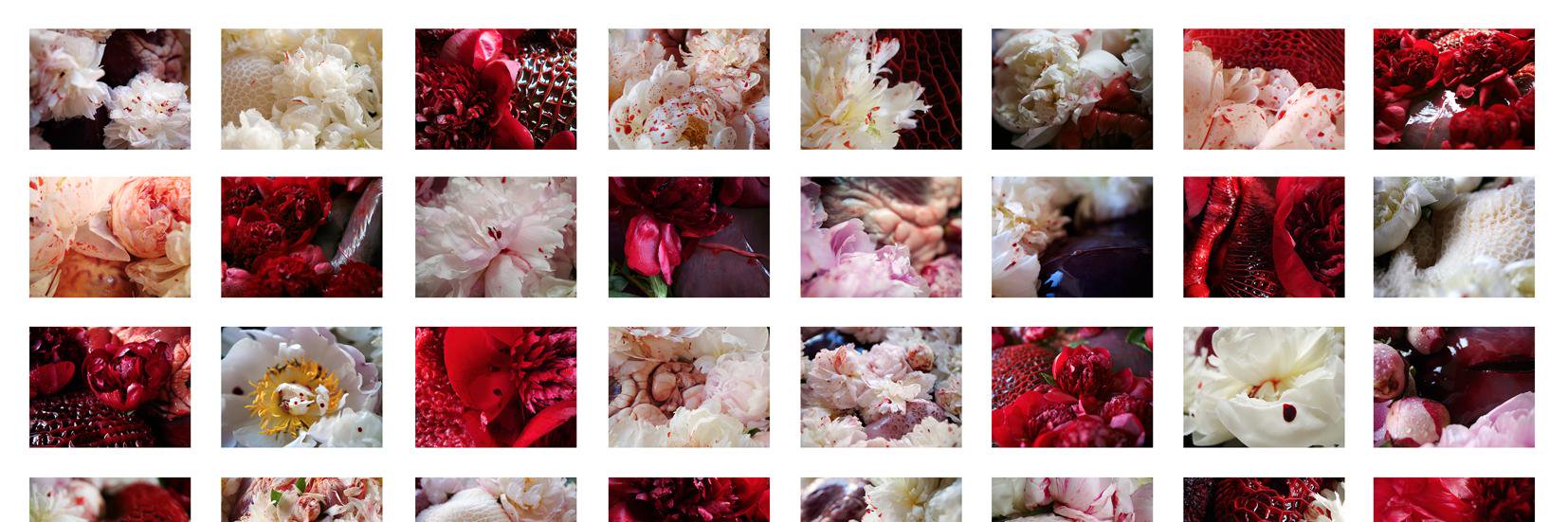 MAMContemporary's profile banner image