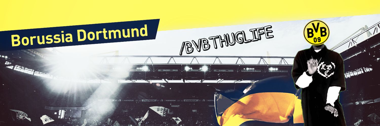 UmTorcedorDoBVB's profile banner image