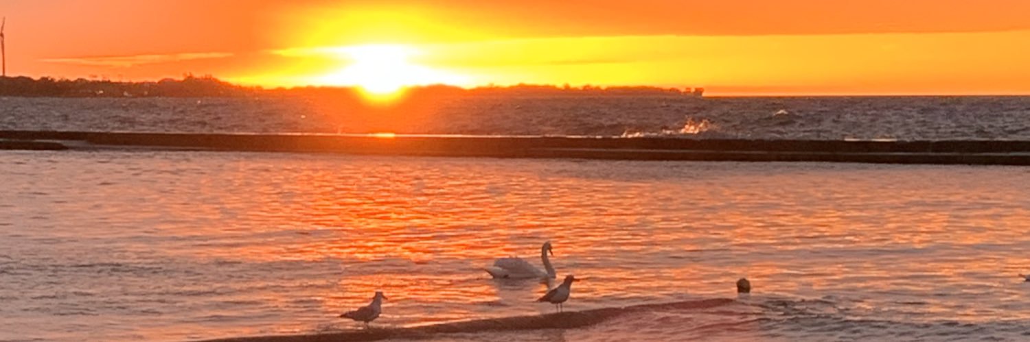 joedepool's profile banner image