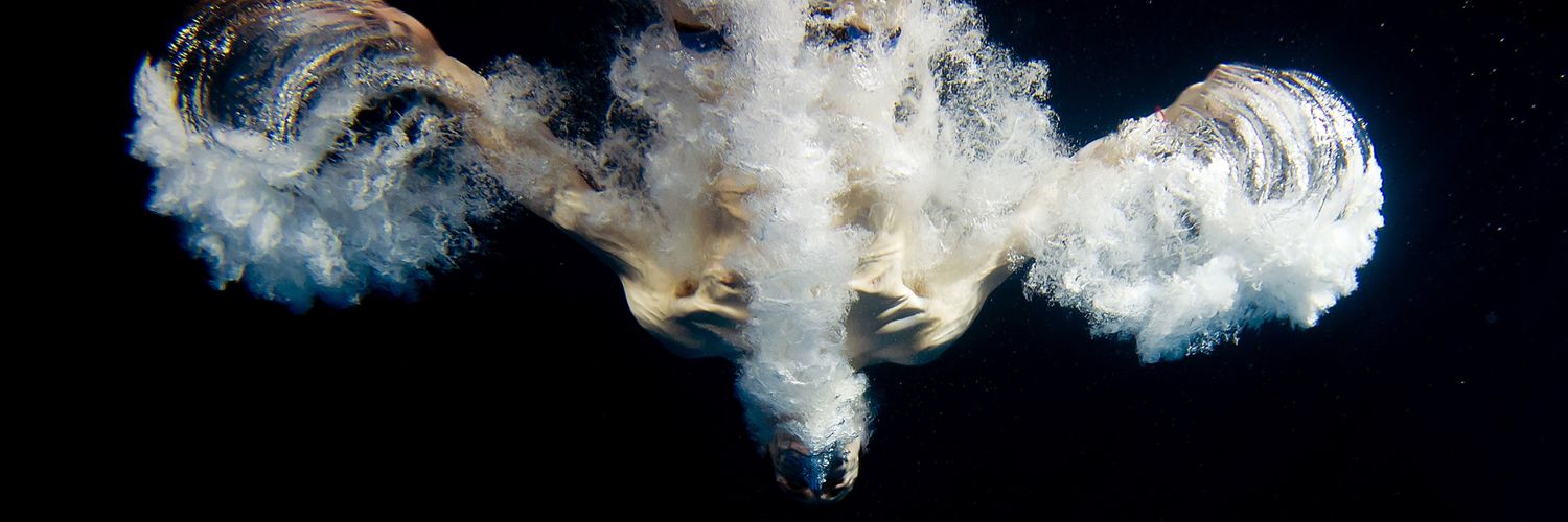 David Boudia banner