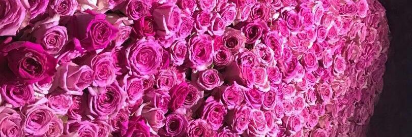 🍒•ೋೋ•👑•ೋೋ•🍒 banner