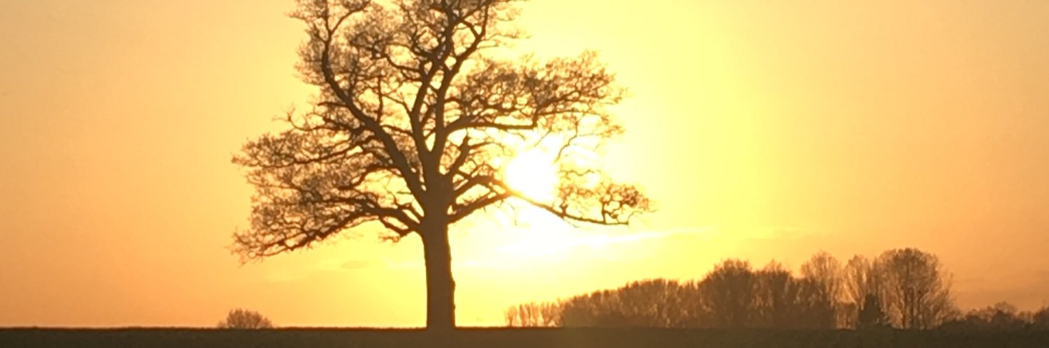 Alison Bird 💙💛 banner