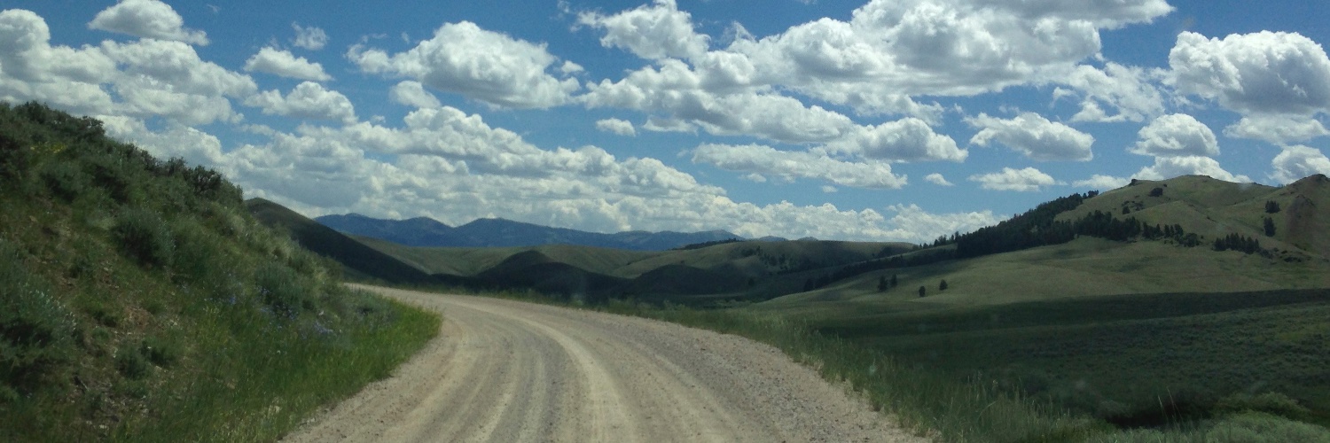 lisafischbeck's profile banner image