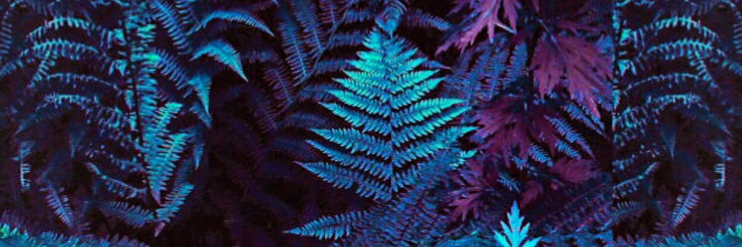 SamaraCasey's profile banner image