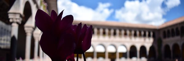 jostavra Profile Banner